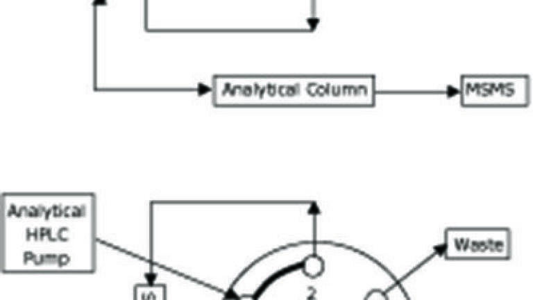 Figure 1. Configuration of the online SPE-LC-MS system.